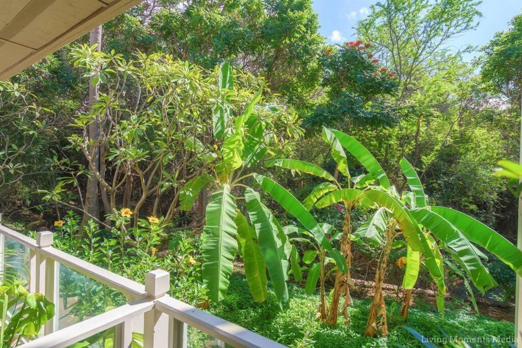 Tiki Tiki - Gorgeous Boho Beach Hideaway! Wailea  Exterior photo